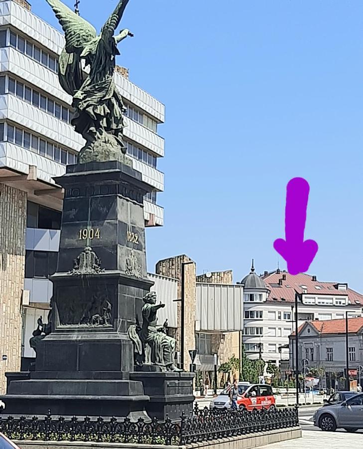 Zara Apartman Krusevac - Centar Apartment Luaran gambar